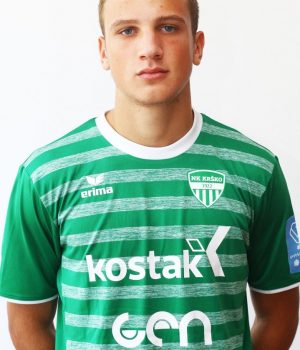 Milan Ristovski