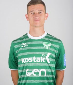 Daniel Štefulj
